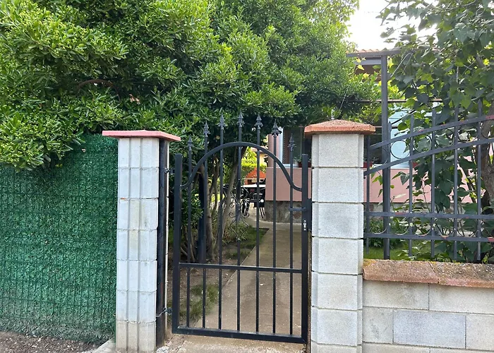 Nadya * クラペッツ